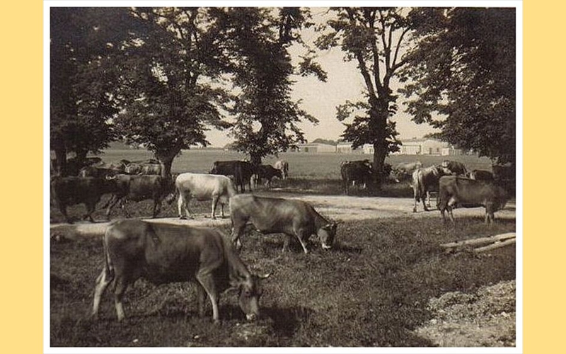 Khe am Flugplatz Schleiheim, ca. 1925
